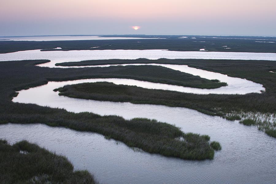 Scenic aerial shot of winding marsh. 